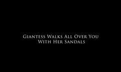 Giantess Walks All Over You With Her Sandals - Mari Merlowe 4K