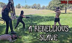 A REBELLIOUS SLAVE - With Subtitles