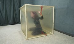 Bondage with red ropes to a transparent cube