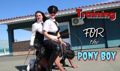 Training for the Pony Boy - Alexandra and Dinah