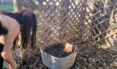 Fifi stepping into deep bin of mud and covering her clothes and body in mud *recent replay*