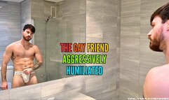 The gay friend aggressively humiliated