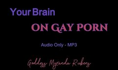 Your Brain on Gay Porn - Audio Only MP3