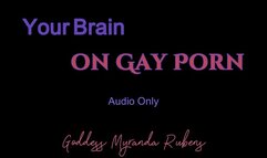 Your Brain on Gay Porn - Audio Only MP4