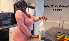 HOUSE CLEANING FARTS