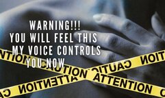 The NLP toolbox: WARNING!!! You Will Feel This – My Voice Controls You NOW