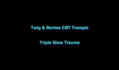 Triple Shoe Trauma