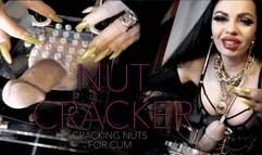 CBT NUT CRACKER – Cracking Your Nuts For Cum