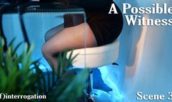 A Possible Witness: Scene 3 (4K) Finterrogation - Obey Lady Ashley - femdom findom blackmail pantyhose upskirt