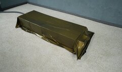 Bondage by boxes in a gold vacuum bed