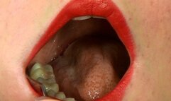 Mouth Tour With Teaspoon 2 HD-1080