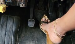 Sexy Hard Crank In My Gold Stiletto Mules (Footwell)