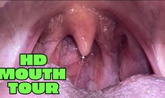 HD Mouth Tour