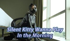 Silent Kitty Wanna Play In The Morning