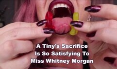 A Tiny's Sacrifice Is So Satisfying To Miss Whitney Morgan - mp4