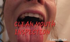 CLEAN MOUTH'S INSPECTION