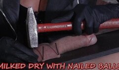 MISTRESS ISIDE - MILKED DRY WITH NAILED BALLS HD