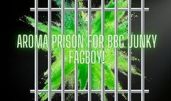 The NLP toolbox: Aroma Prison for BBC junky fagboy!