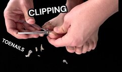 Clipping Toenails Male Feet ASMR Long Toe Nails On My Boyfriends Stinky Feet