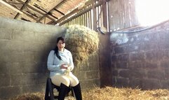 Over The Knee Spanking In The Stable