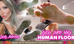 You are my human floor ( Foot Domination POV with Lady Adriana ) - 4K UHD MP4