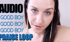 Good Boy Praise Loop (Audio)