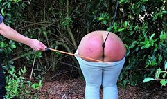 Taming a wild butt with plug, spanking, strap, wooden spoon, tazapper and cane