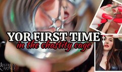 You're Locked Up in Chastity by Mistress Karino - Femdom POV [MP4 FHD]