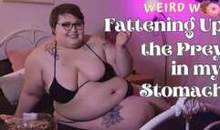 Fattening Up The Prey in My Belly (Vore) - WMV