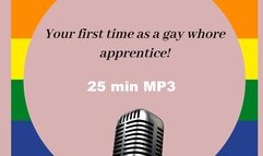 Your first time as a gay whore apprentice