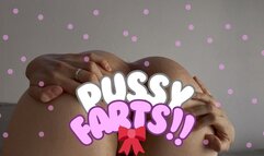 vaginal farts in doggy style