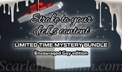 LIMITED TIME - Stroke to your dick's content - Encouraged Gay MYSTERY BUNDLE - WMV HD