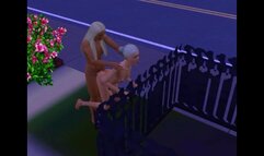 Sims 3. Sex on a Street Shop | Adult Games