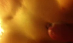 Wife Anal Cumshot