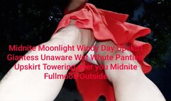 The lady in Red Midnite Moonlight Windy Day Upskirt Giantess Unaware Wet Whute Panties Upskirt Towering over you Midnite Fullmoon Outside