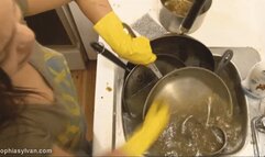 Punished by Dishwashing 720p mp4