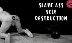 SLAVE ASS SELF DESTRUCTION - HD - Wilder Holes