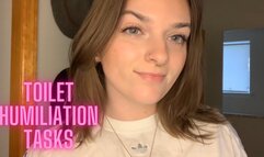 Toilet Humiliation Tasks