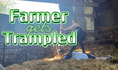 Farmer gets Trampled (480p)