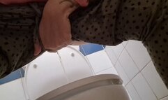 Small public toilet big pee and farts 4K
