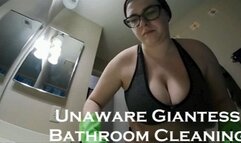 Unaware Giantess Cleaning HD