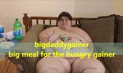 Bigdaddygainer Big Meal for the hungry Gainer