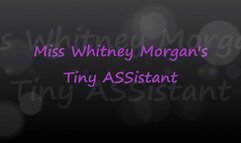 Miss Whitney Morgan’s Tiny ASSistant - mp4