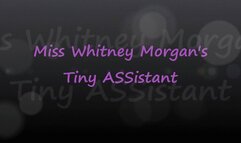 Miss Whitney Morgan’s Tiny ASSistant - wmv