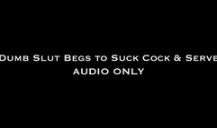 Dumb Slut Begs to Suck Cock and Serve AUDIO ONLY