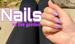 Nails in the Garden