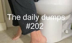 The daily dumps #202 mp4