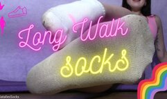 Long Walk Socks