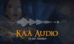 Kaa Audio - You Don't Remember