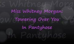 Whitney Morgan: Towering Over You In Pantyhose - mp4